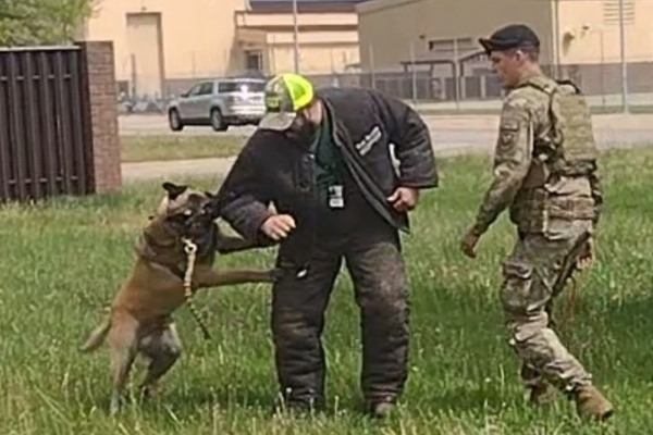 Envision Xpress Plays Role in Military Readiness for 509th Security Forces K9 Unit Tyler outside Whiteman with a K9.