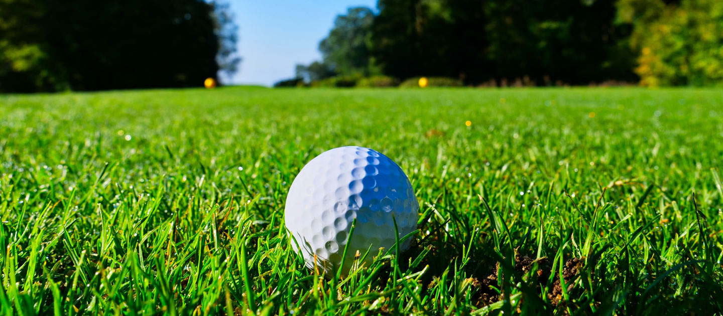 White golf ball sits in the green grass turf at a golf course.