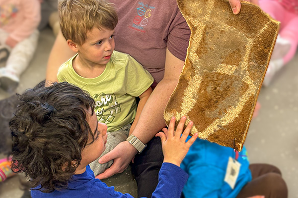 Celebrating Curiosity: Week of the Young Child at ECDC Children at ECDC experience the feel of a hide from a giraffe.