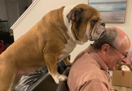 Dr. Don Fletcher is sitting at a car while his grand-dog climbs on a couch behind him 
